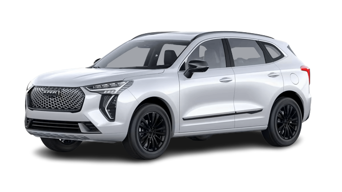 Nine Star Car Rental Haval Jolion remove