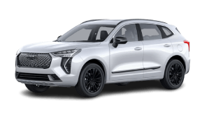 Nine Star Car Rental Haval_Jolion